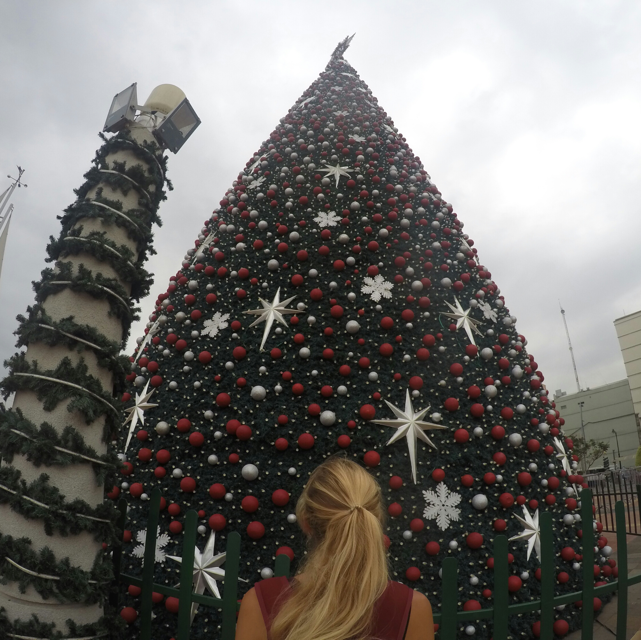 Hier bestaune ich den mit Abstand größten Weihnachtsbaum, den ich je gesehen habe - in Guayaquil zwei Tage vor Heiligabend