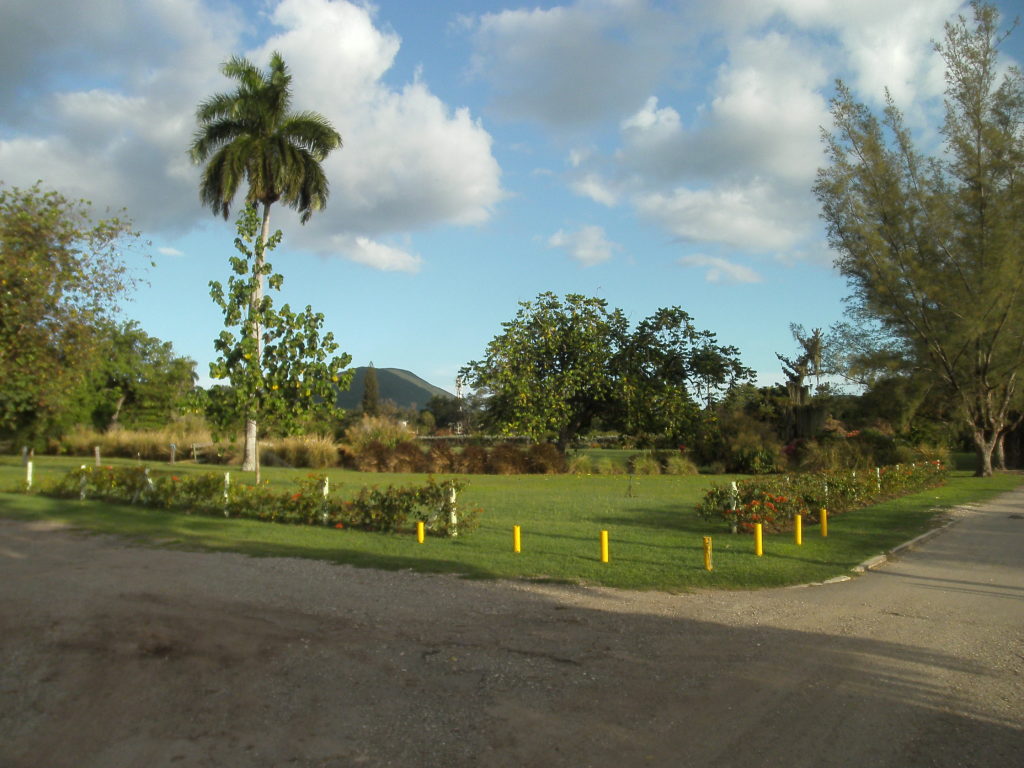 PICT0401
