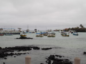 DSC00065