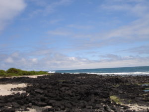 DSC00110