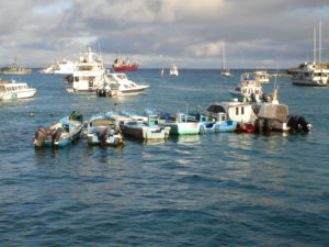 DSC00246