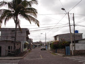 DSC00290