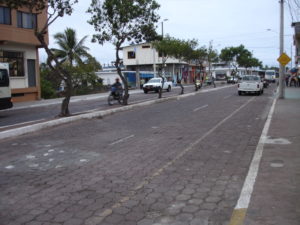 DSC00295