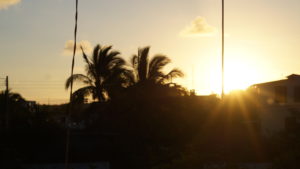 DSC03464